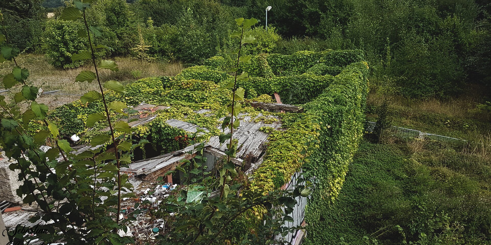 Hotel Ruine – Detail